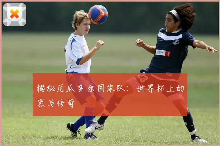 揭秘厄瓜多尔国家队：世界杯上的黑马传奇